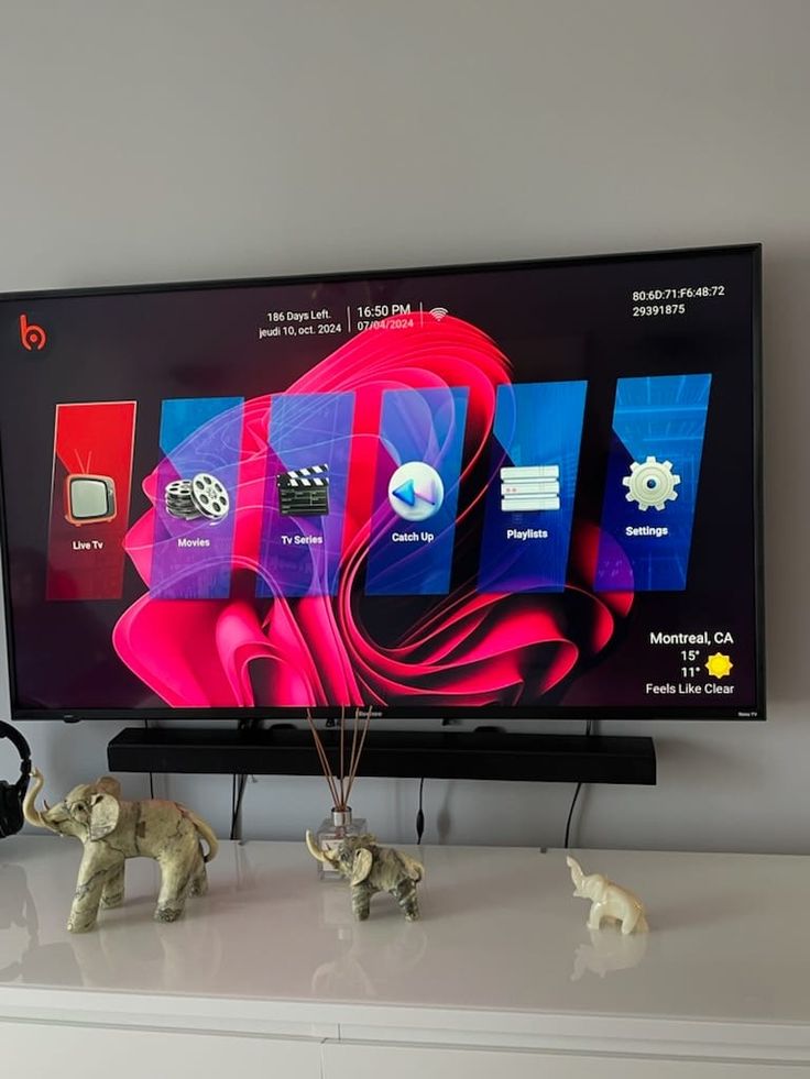 Jan V. verified IPTV review photo